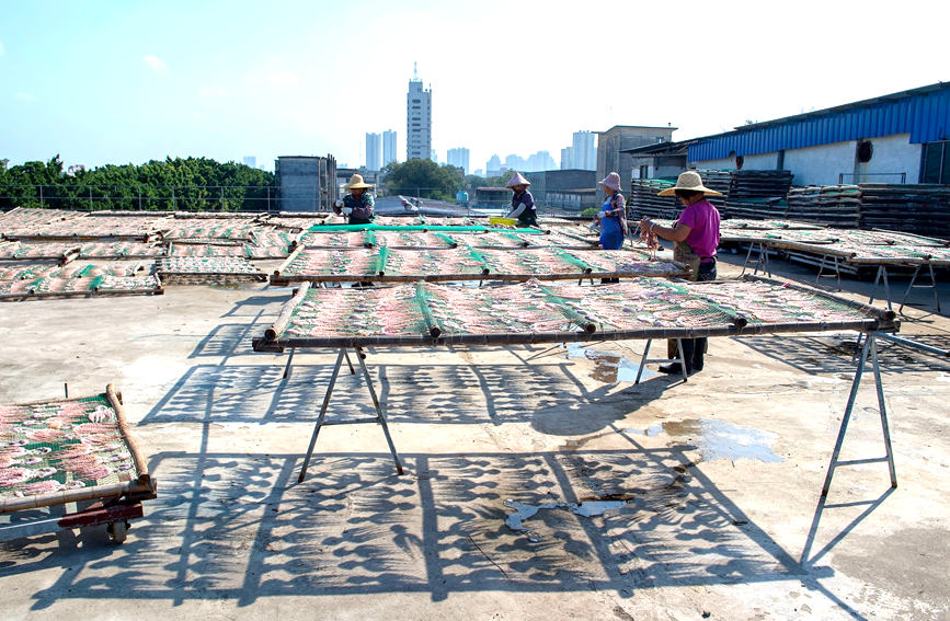 ?????? ???????: ???????? ??????? ?????? ???????? ??????? ???????