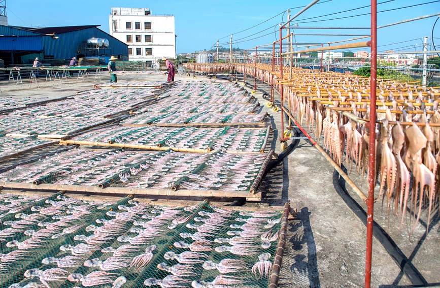 ?????? ???????: ???????? ??????? ?????? ???????? ??????? ???????