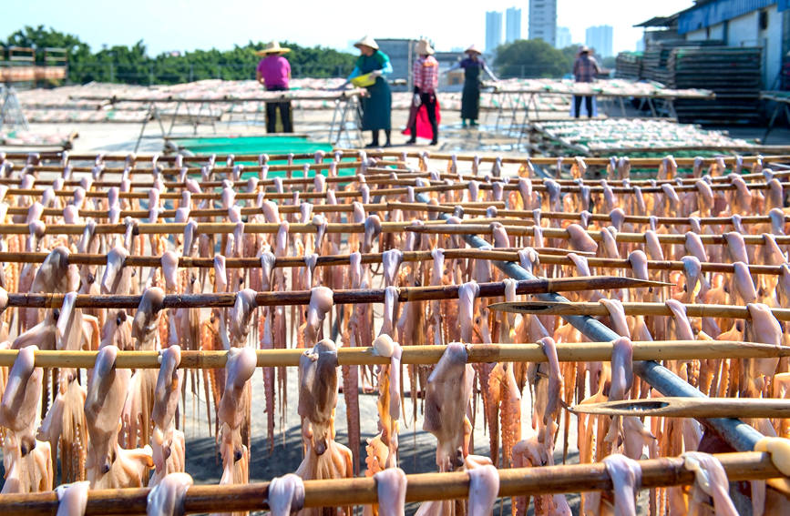 ?????? ???????: ???????? ??????? ?????? ???????? ??????? ???????