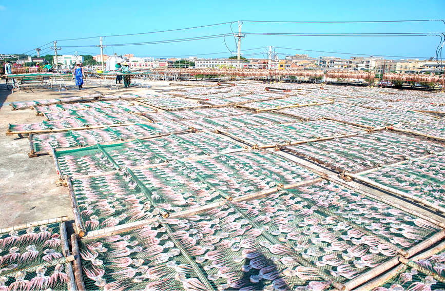 ?????? ???????: ???????? ??????? ?????? ???????? ??????? ???????