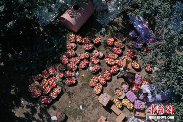 ???? ????: ??? ?? ??? ??? ???????