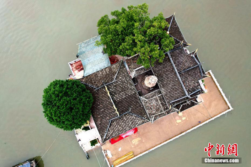 ???? ??????.. ?????? ?????? ?????? ?? ????? ??????