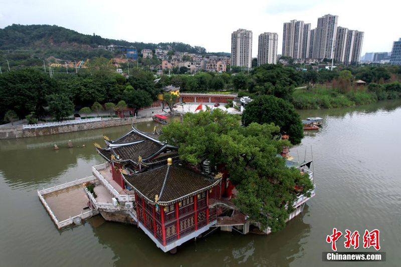 ???? ??????.. ?????? ?????? ?????? ?? ????? ??????