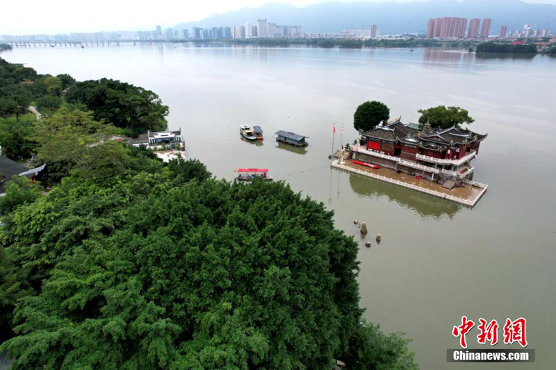 ???? ??????.. ?????? ?????? ?????? ?? ????? ??????