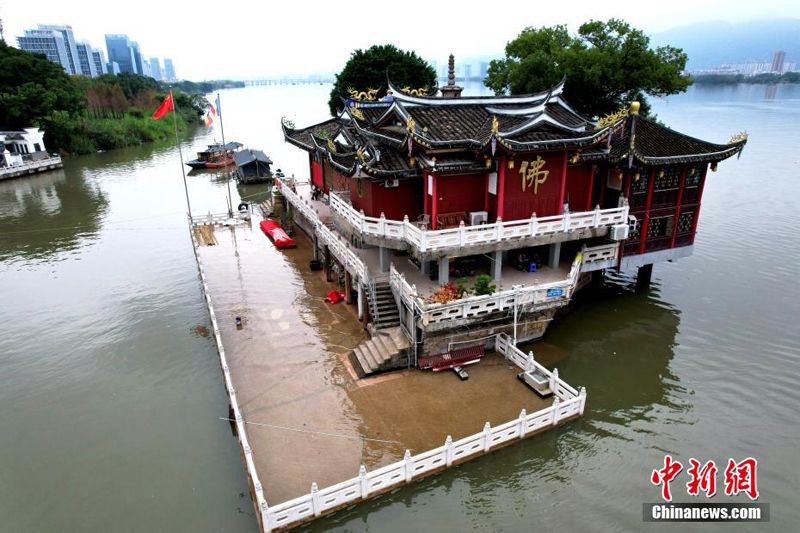 ???? ??????.. ?????? ?????? ?????? ?? ????? ??????