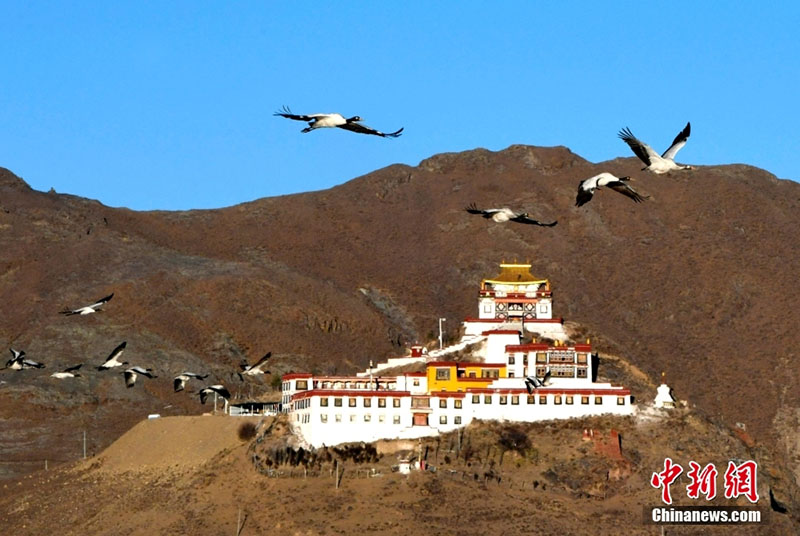 ???? ???? ????? ?????? ???? ????? ????? ??? ??????