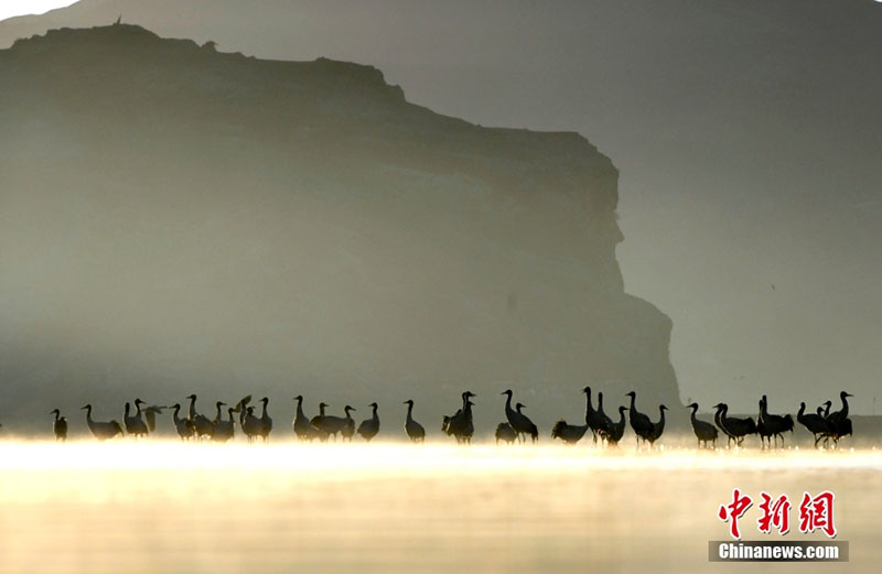 ???? ???? ????? ?????? ???? ????? ????? ??? ??????