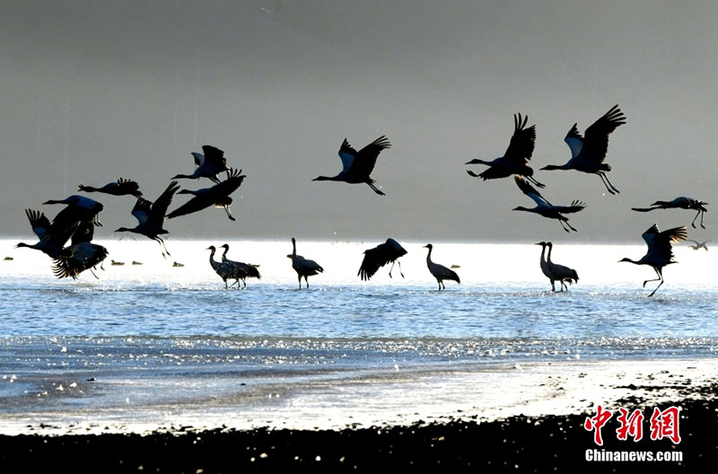 ???? ???? ????? ?????? ???? ????? ????? ??? ??????