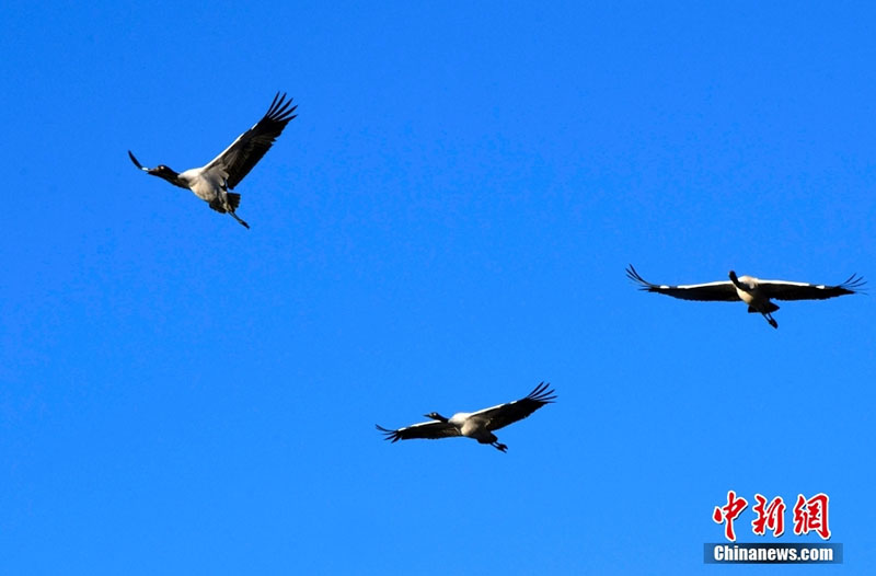 ???? ???? ????? ?????? ???? ????? ????? ??? ??????