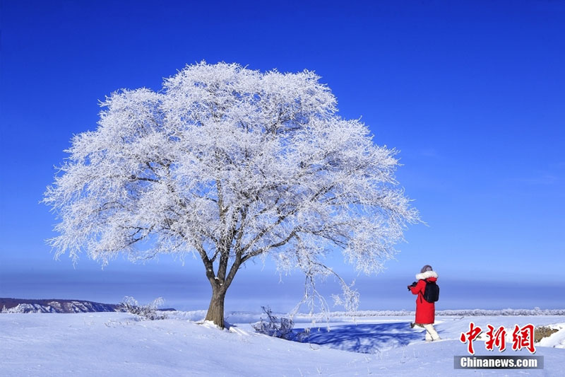 ?????? ???? ?????? ???? ?? ???????????