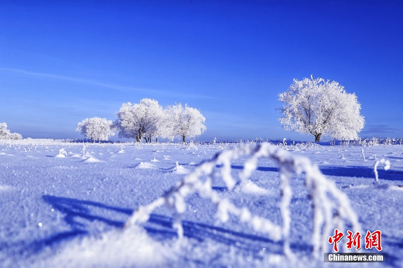 ?????? ???? ?????? ???? ?? ???????????