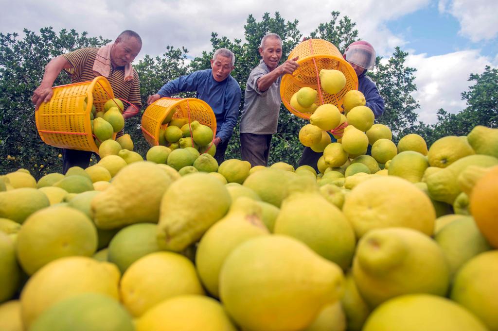 ???????? ???? ????? ???? ???????? ?? ?????? ????? ???? ?????