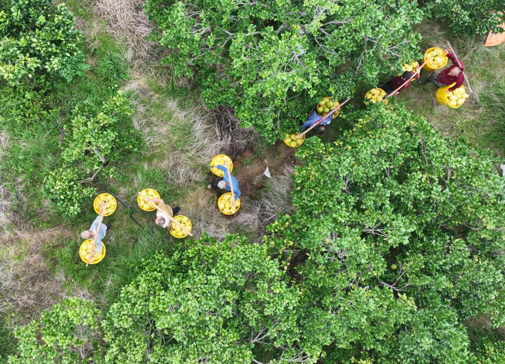 ???????? ???? ????? ???? ???????? ?? ?????? ????? ???? ?????