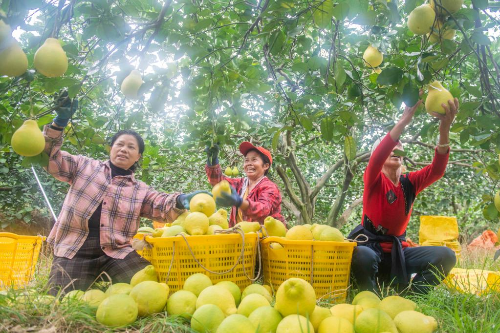 ???????? ???? ????? ???? ???????? ?? ?????? ????? ???? ?????