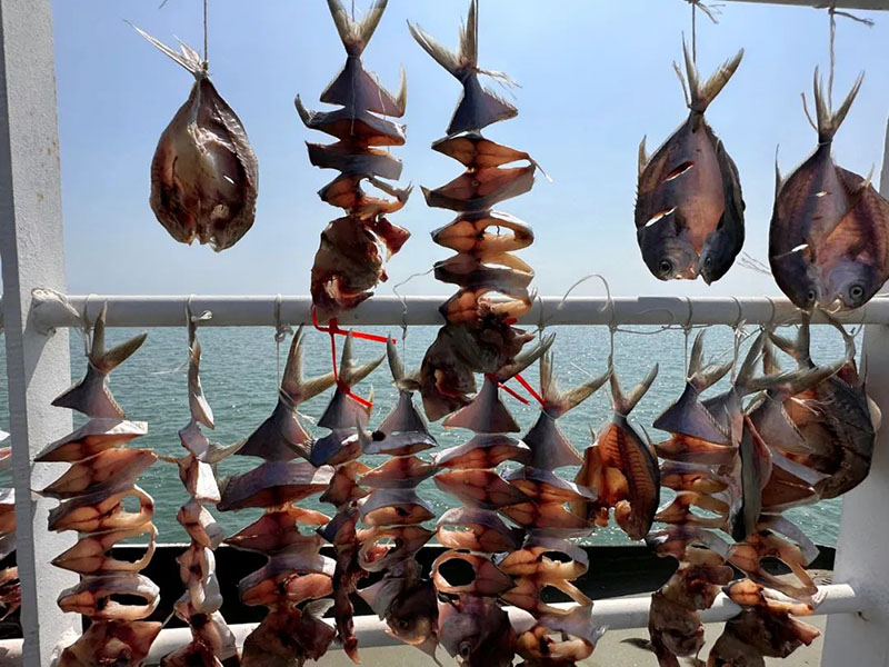 ??? ??????? ??????? ???? ??? ???????? ?? ???? ?????