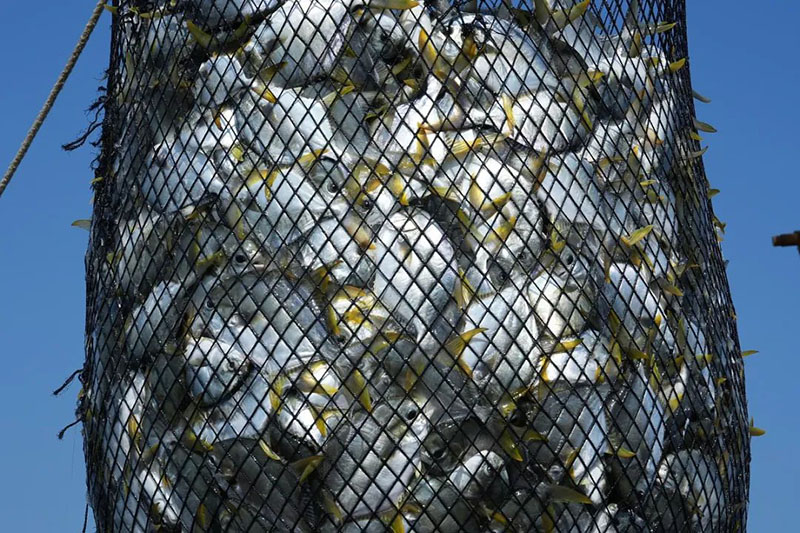 ??? ??????? ??????? ???? ??? ???????? ?? ???? ?????