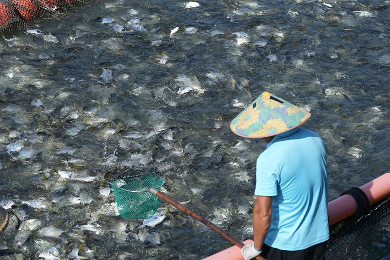 ??? ??????? ??????? ???? ??? ???????? ?? ???? ?????