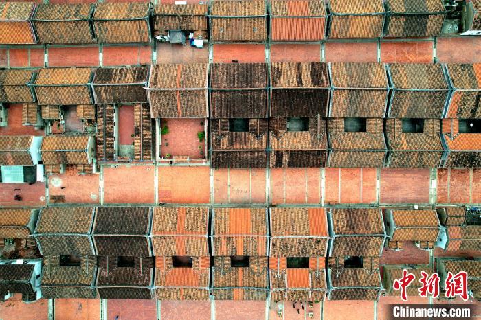 ??????? ????? ????? ????? ??????? .. ?????? ??????? ??? ????? 