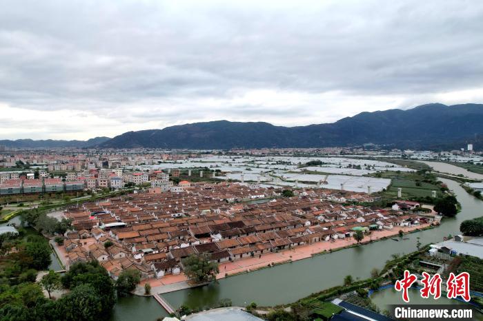 ??????? ????? ????? ????? ??????? .. ?????? ??????? ??? ????? 