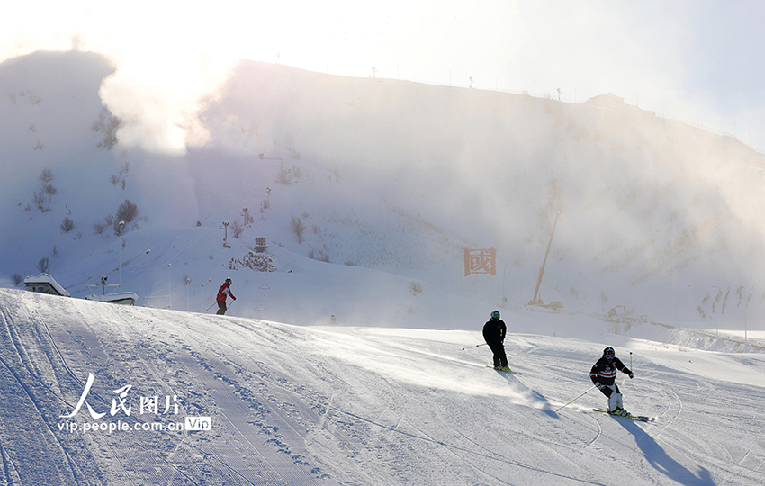 ????? ?????? ???? ????? ??????