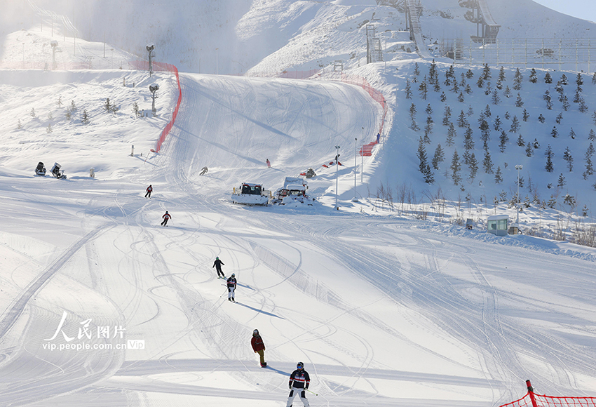 ????? ?????? ???? ????? ??????