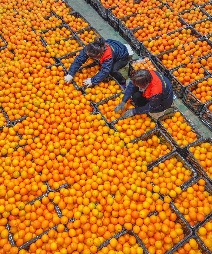 ??????? ???? : ??? ????? ??? ????? ?????? ?????