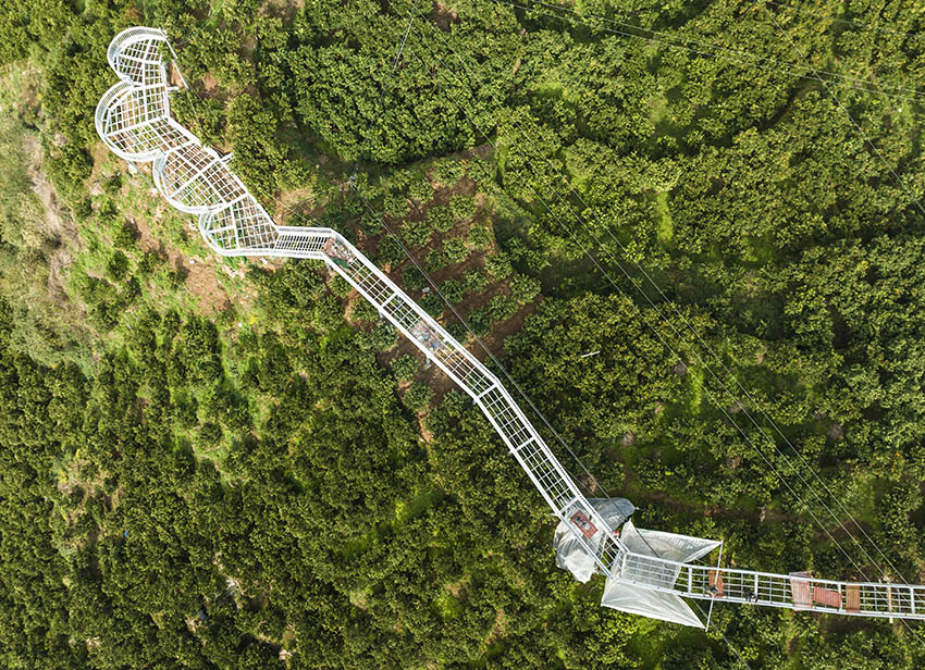 ??????? ???? : ??? ????? ??? ????? ?????? ?????