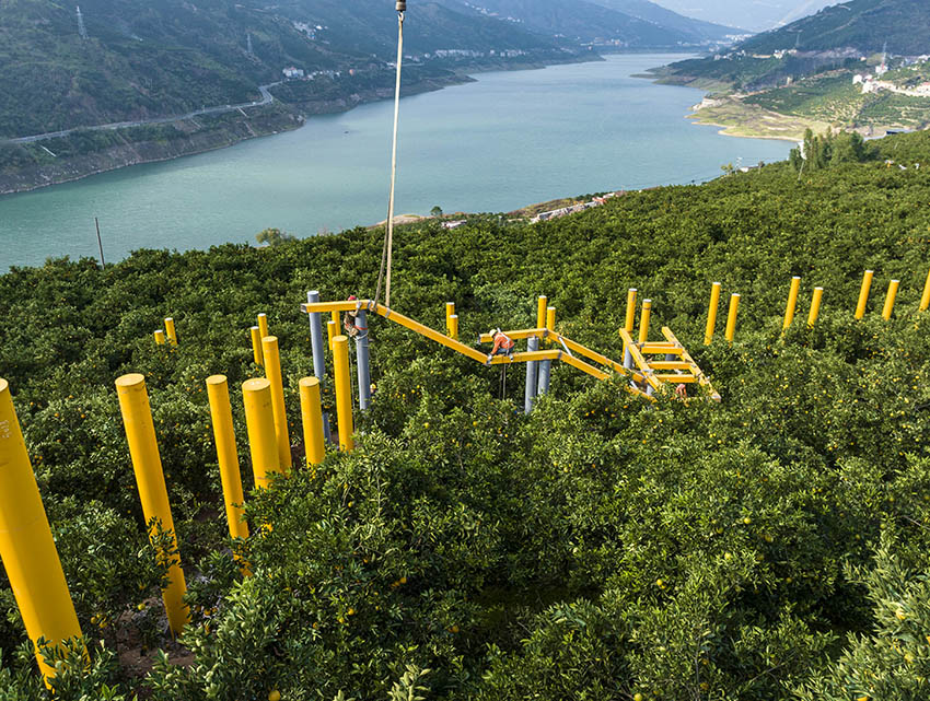 ??????? ???? : ??? ????? ??? ????? ?????? ?????