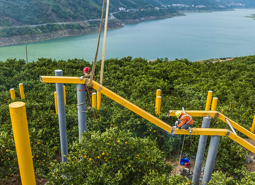 ??????? ???? : ??? ????? ??? ????? ?????? ?????