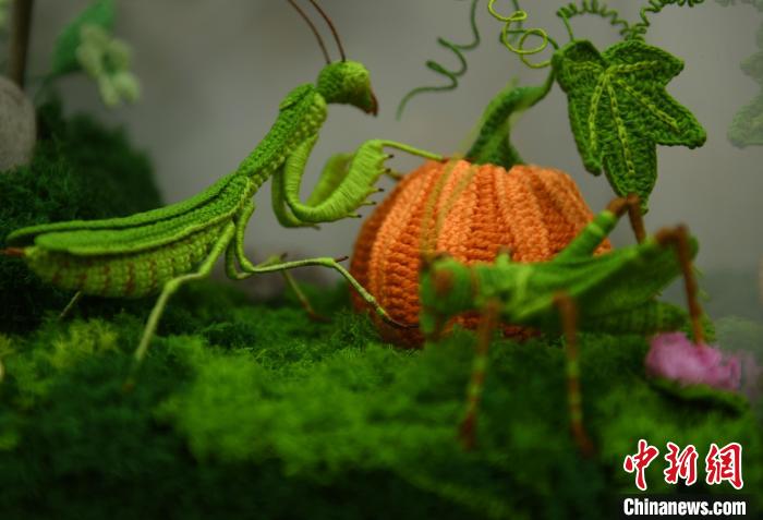 ?????? ??????? .. ????? ????? ???? ?? ????? ?????? ??? ???? ???????