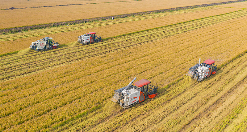 ????? ???? ???? ?????? ?????? ???? 2022