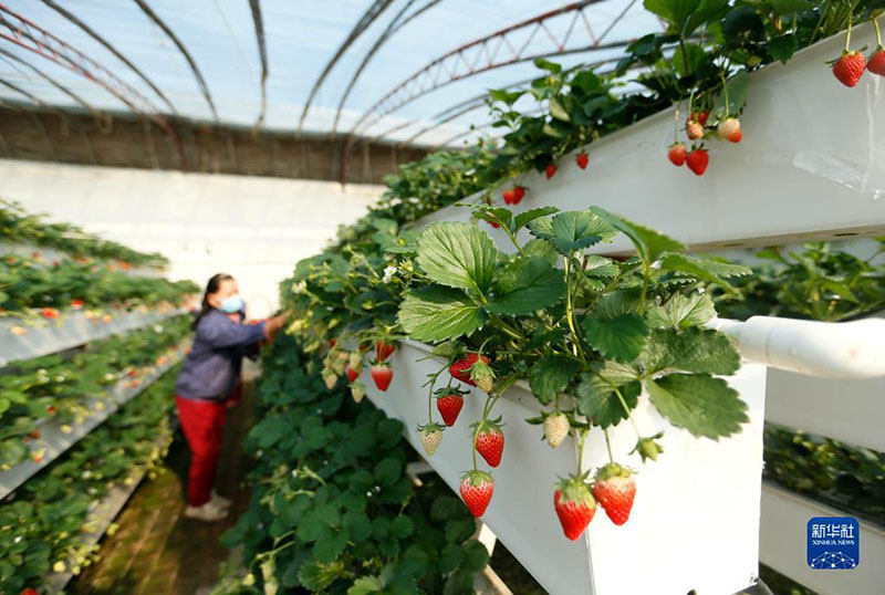 ???????? ?????? ???? ???? ???????? 