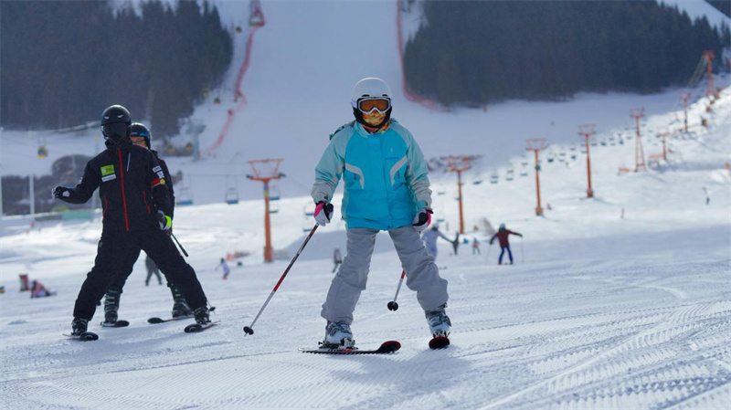 ???????? ????? ?????? ?????? 