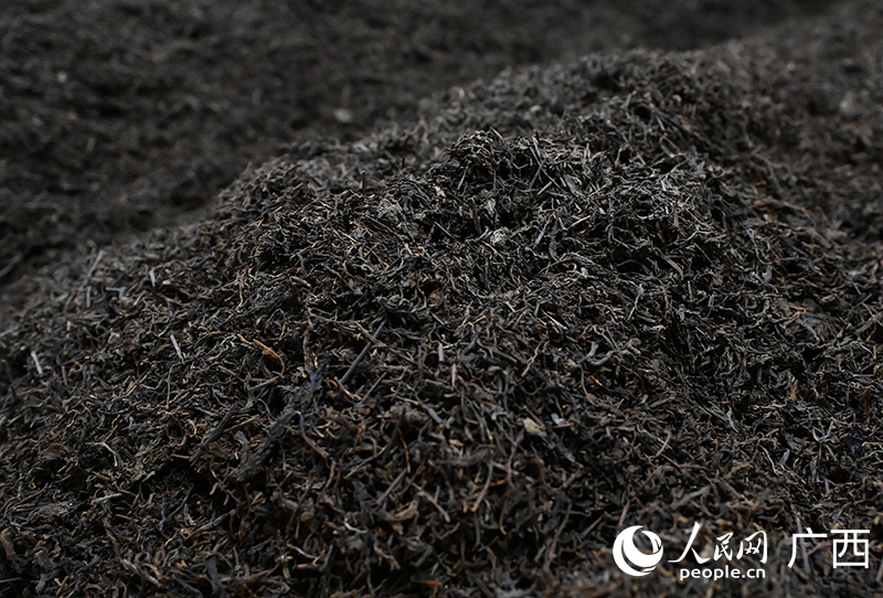 ??? ??????? ???? ????? ????? ?????? ?? ?????? ???????