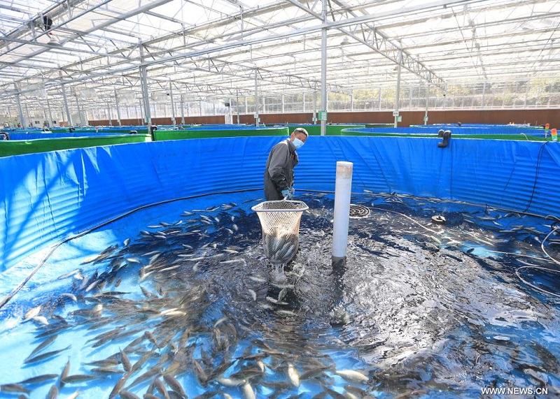 ????????? ?????? ????? ????? ??? ????? ???? ???????? ????? ?????