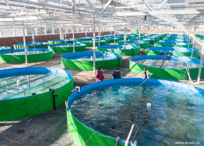 ????????? ?????? ????? ????? ??? ????? ???? ???????? ????? ?????