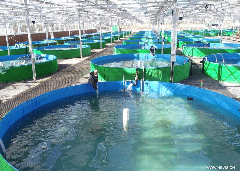 ????????? ?????? ????? ????? ??? ????? ???? ???????? ????? ?????