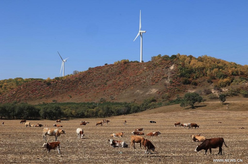 ????? ????? ?????? ??????? ?? ?????? ??? ????? ?????