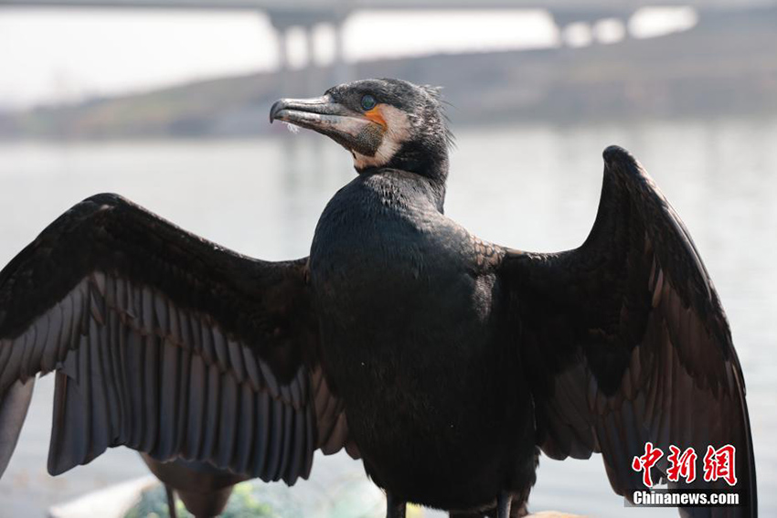 ??? ??????? ??? ?????? ?? ?????