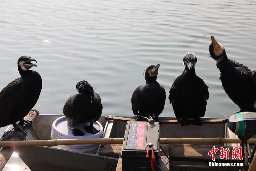 ??? ??????? ??? ?????? ?? ?????