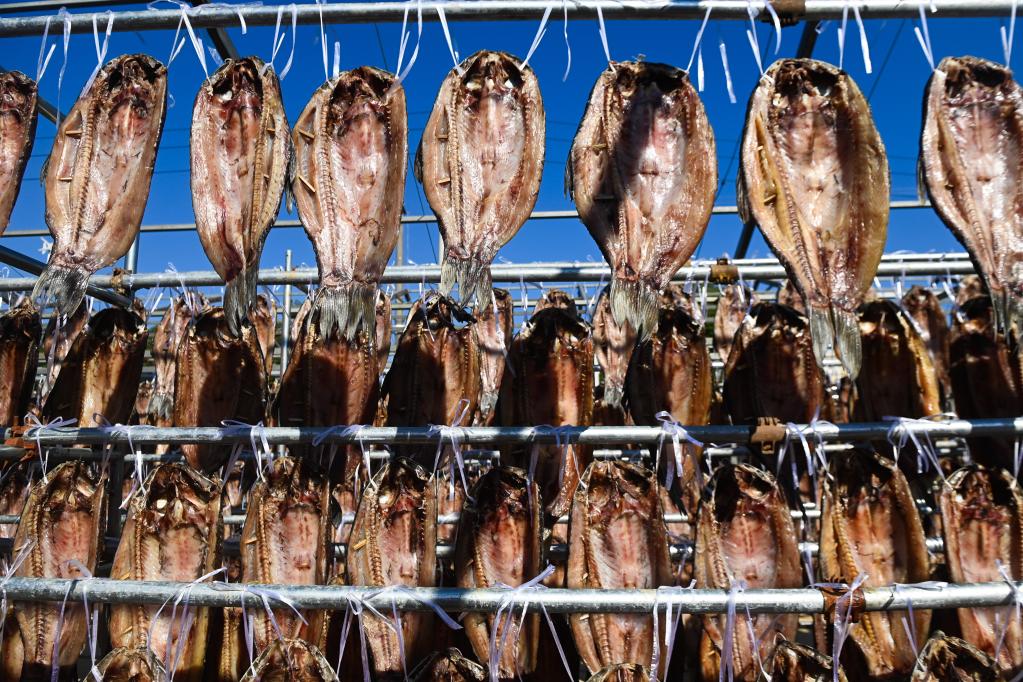 ????? ??????? ?? ???? ????? ?????