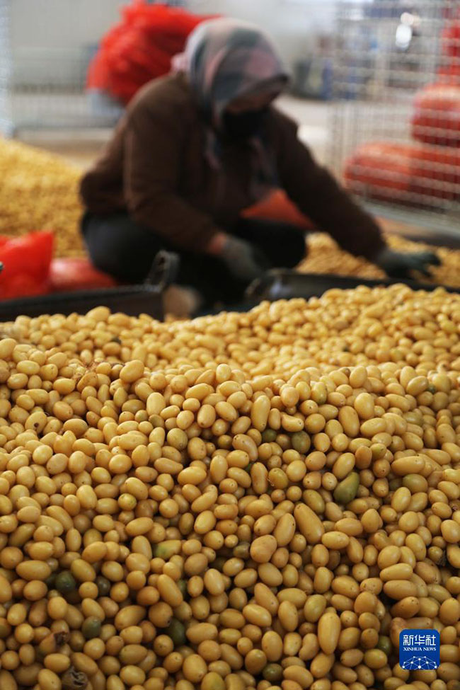 ????? ???? ?? ?????? ??????? ??????? ?? ?????? ?????