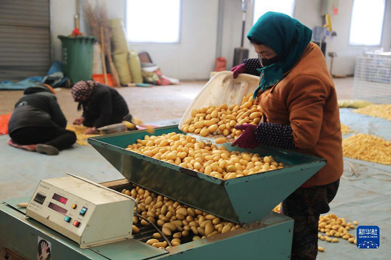 ????? ???? ?? ?????? ??????? ??????? ?? ?????? ?????