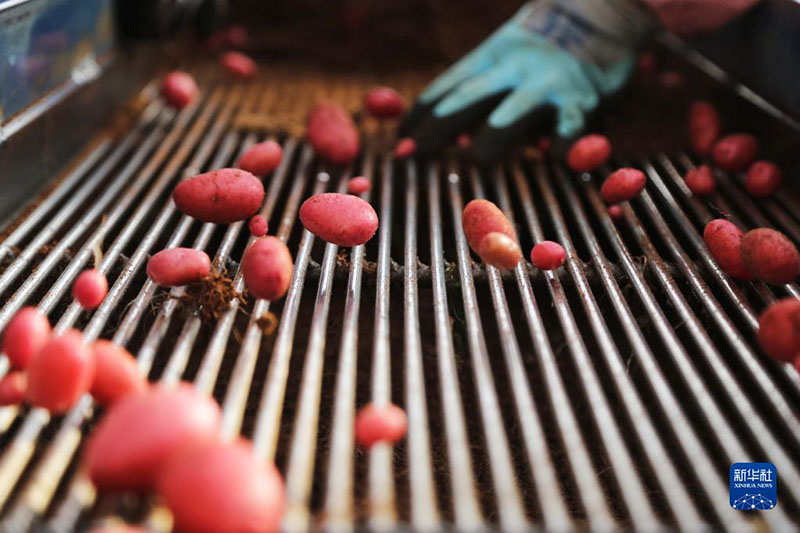 ????? ???? ?? ?????? ??????? ??????? ?? ?????? ?????