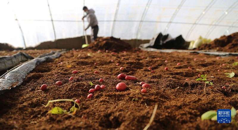 ????? ???? ?? ?????? ??????? ??????? ?? ?????? ?????