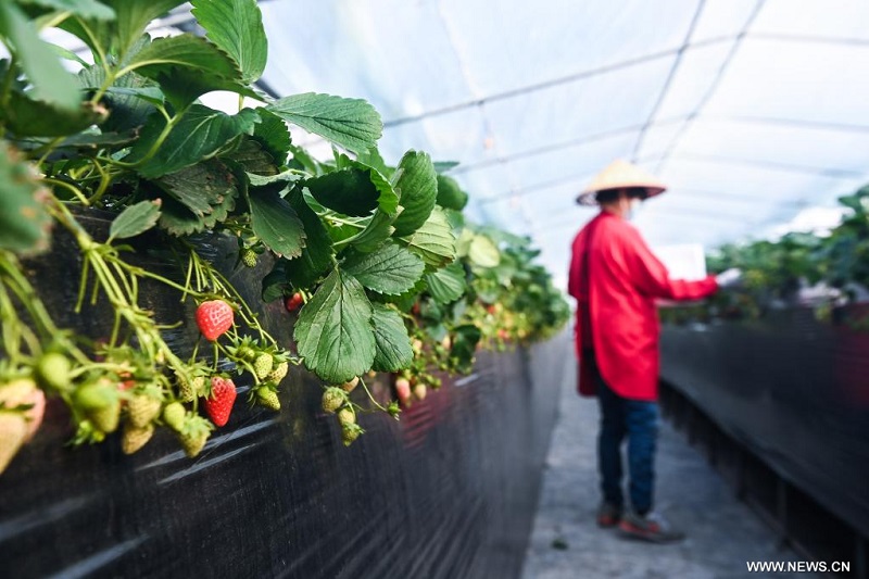 ????? ???? ???????? ??? ????? ????? ???????? ????? ?????