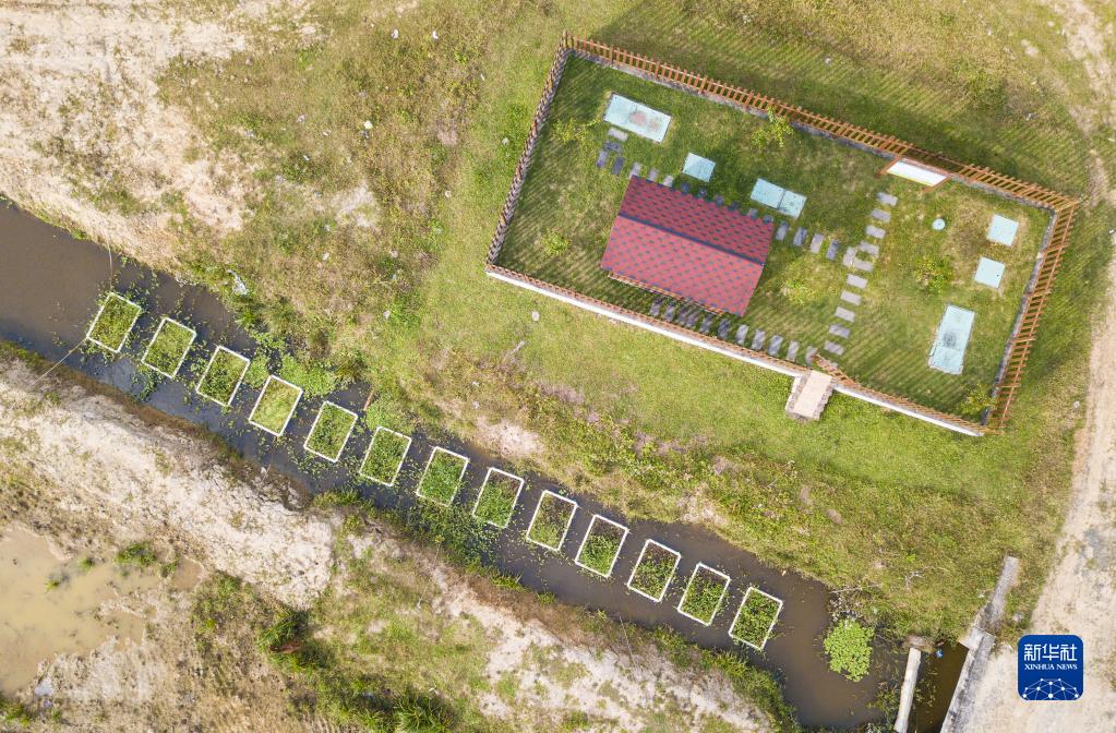  ??? ????? ???????? ?? ?????? ???????