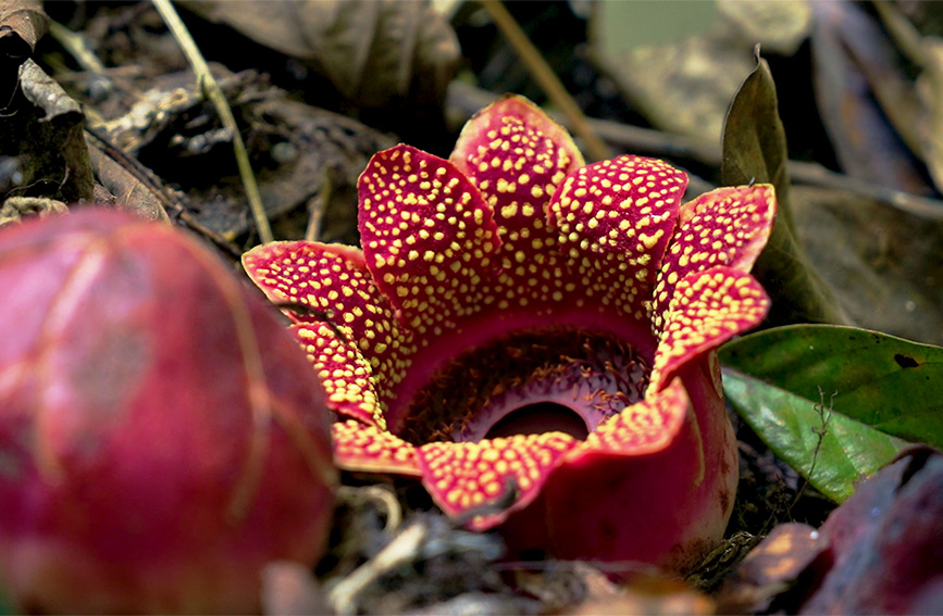 ?????? ???????? ???? ??????? ??????? ??? 30 ???