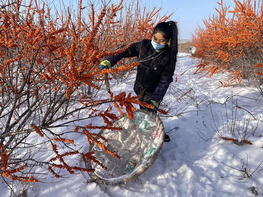 ????? ????? ?????? ??????? .. ???????? ???? ????? ???? ??? ?????