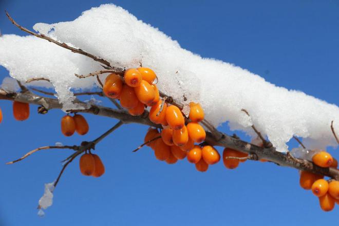 ????? ????? ?????? ??????? .. ???????? ???? ????? ???? ??? ?????